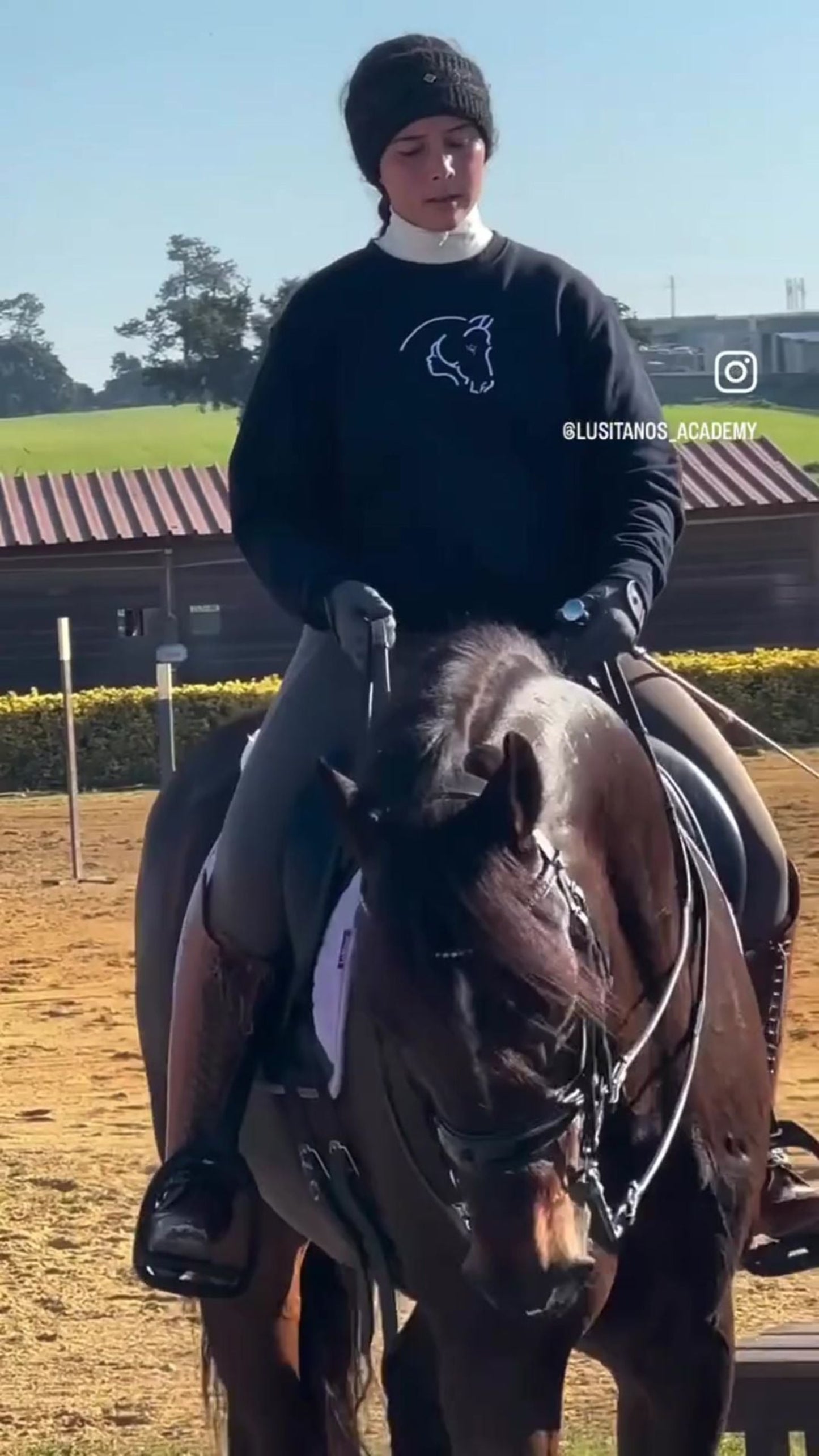 Camisola bordada de fusão de cavalo-mulher 